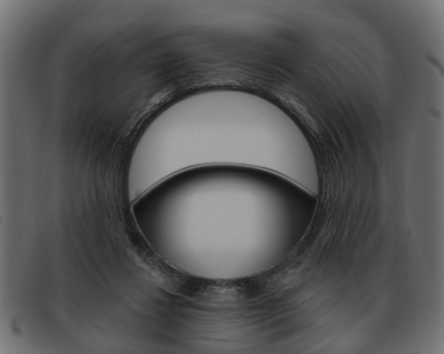 X0000093620260200710151046