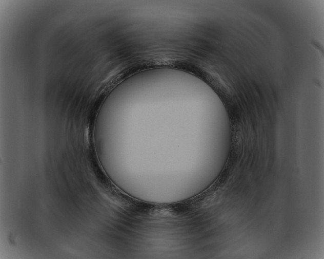 X0000093620262200710151046