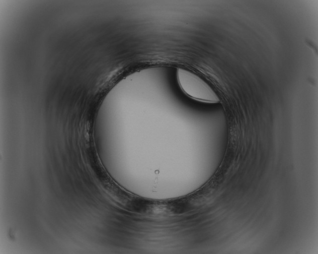 X0000093620264200710151046