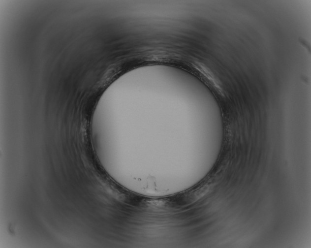 X0000093620265200710151046