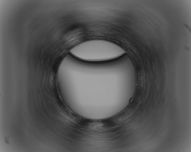 X0000093620266200710151046