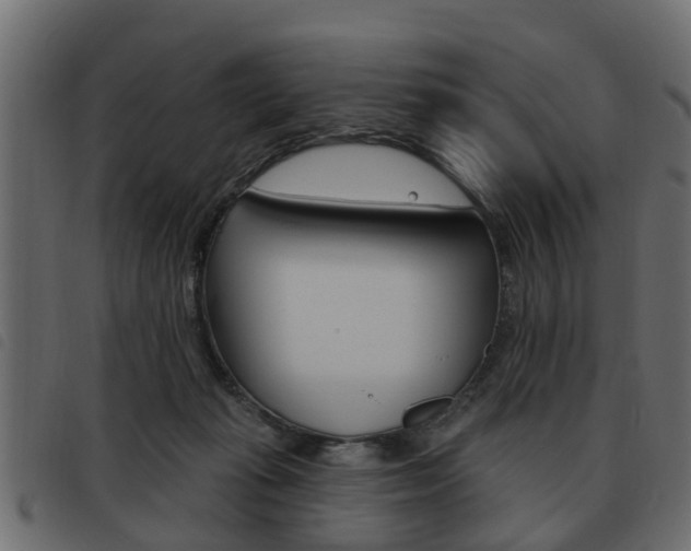 X0000093620269200710151046