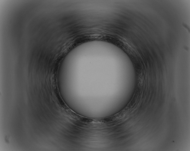 X0000093620270200710151046