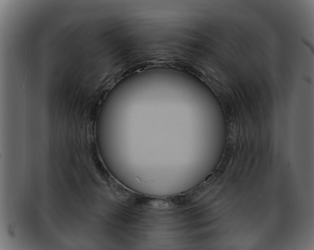 X0000093620272200710151046