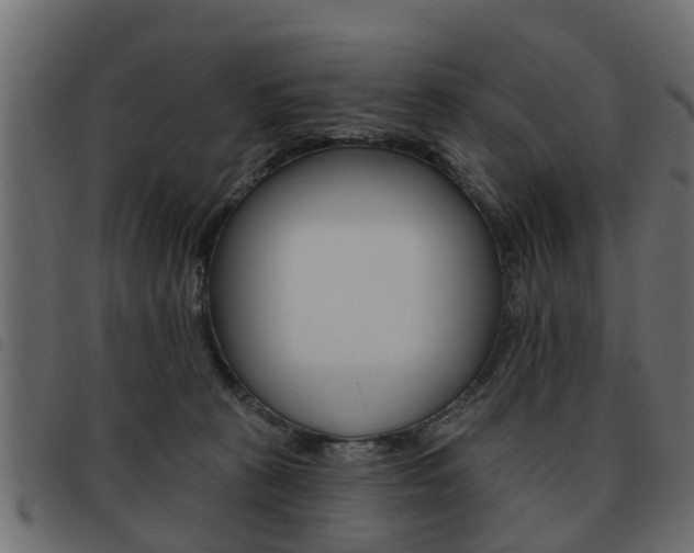 X0000093620273200710151046