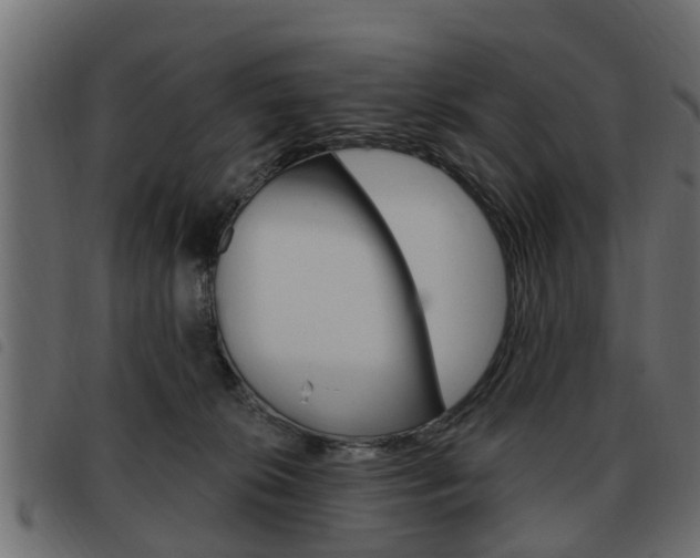 X0000093620276200710151046