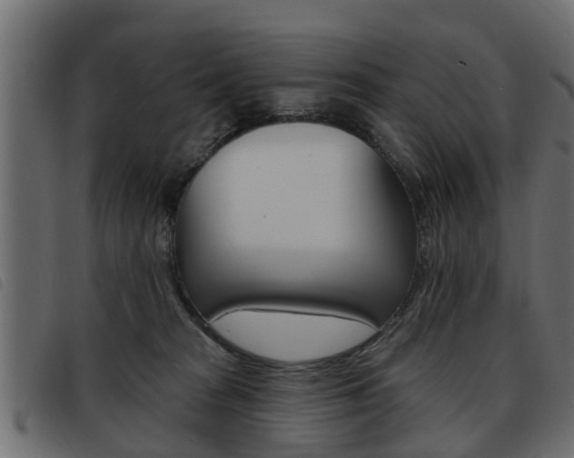 X0000093620277200710151046