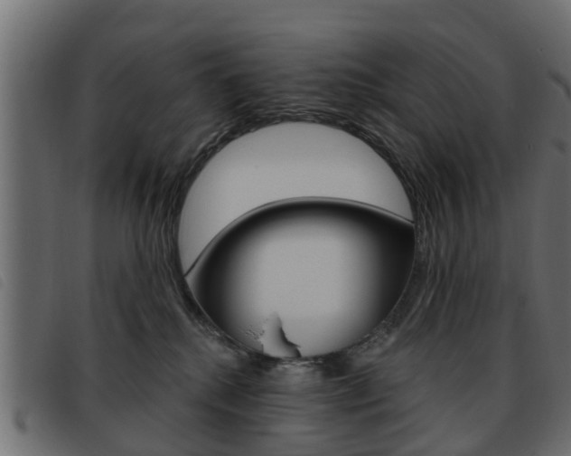 X0000093620280200710151046