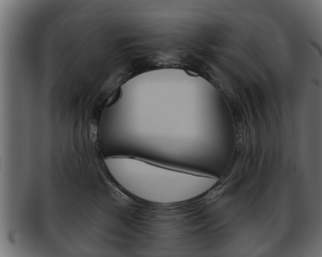 X0000093620281200710151046