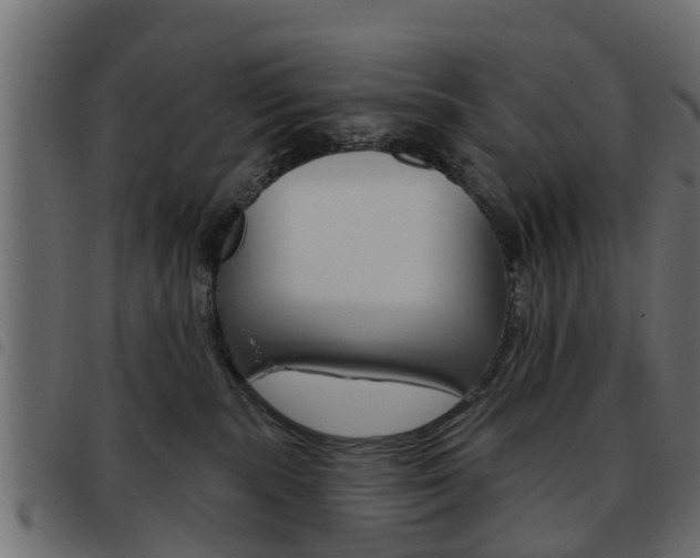 X0000093620283200710151046