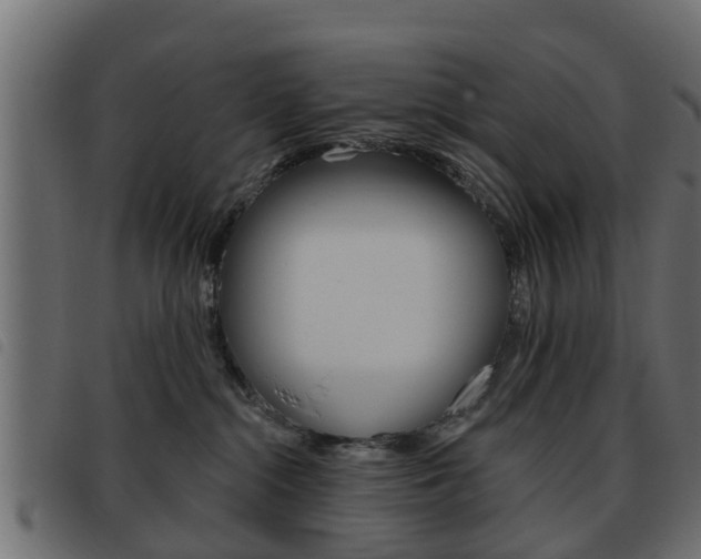 X0000093620284200710151046