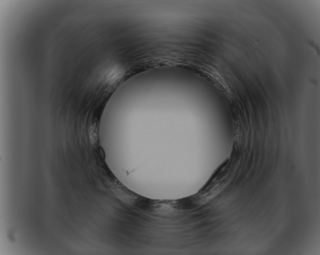 X0000093620285200710151046