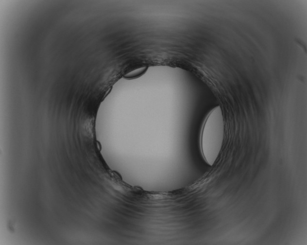 X0000093620286200710151046
