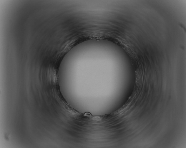 X0000093620287200710151046