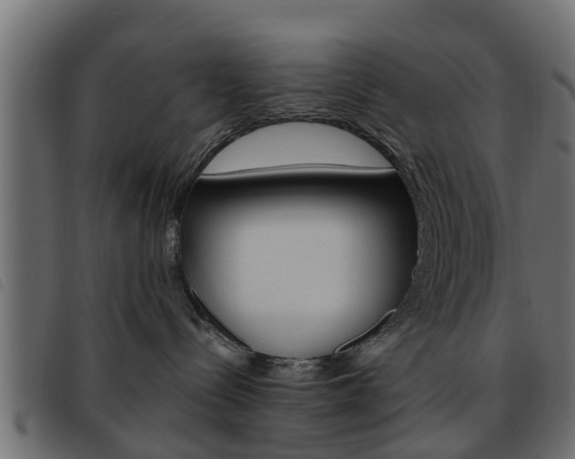 X0000093620288200710151046