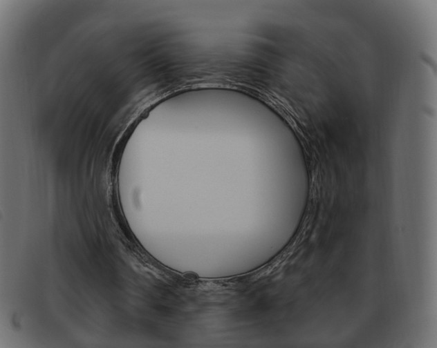 X0000093620290200710151046