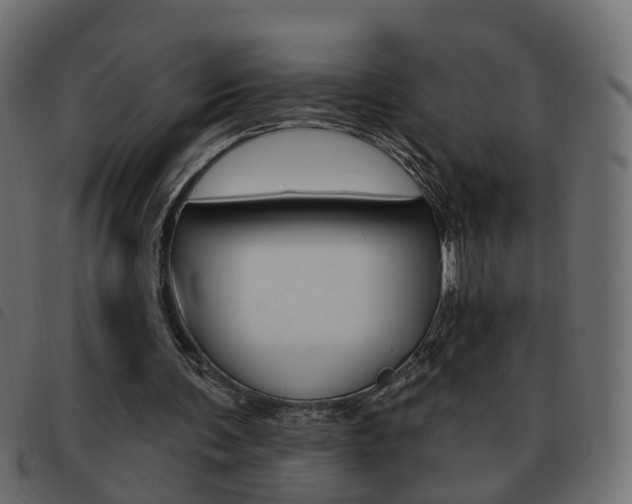X0000093620291200710151045