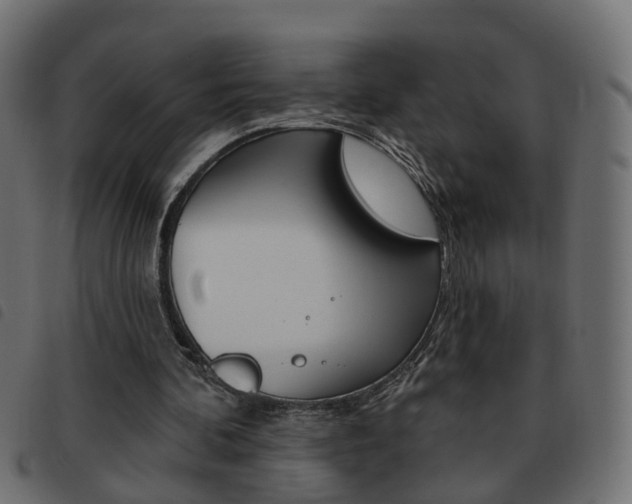 X0000093620292200710151045