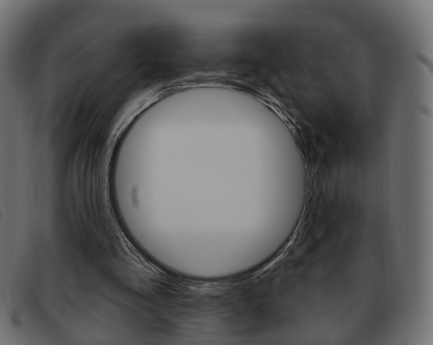 X0000093620293200710151045