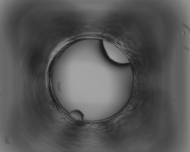 X0000093620294200710151045