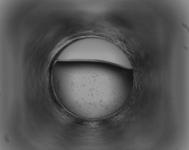 X0000093620295200710151045