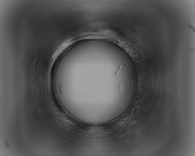 X0000093620296200710151045