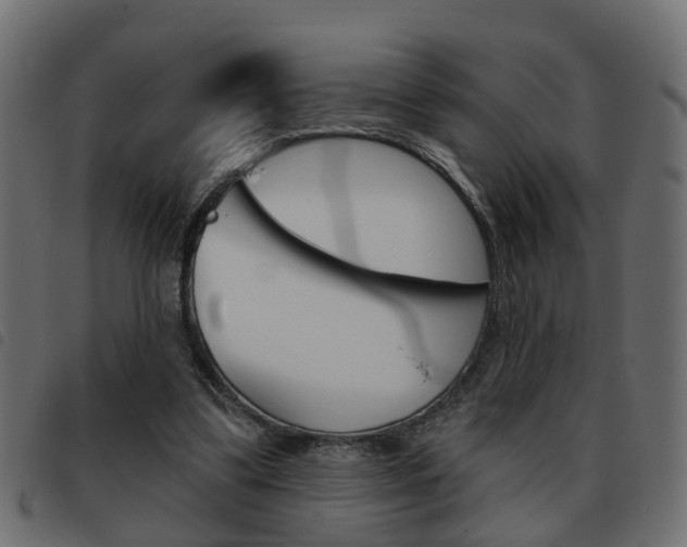 X0000093620299200710151045
