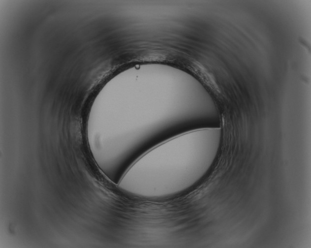 X0000093620300200710151045