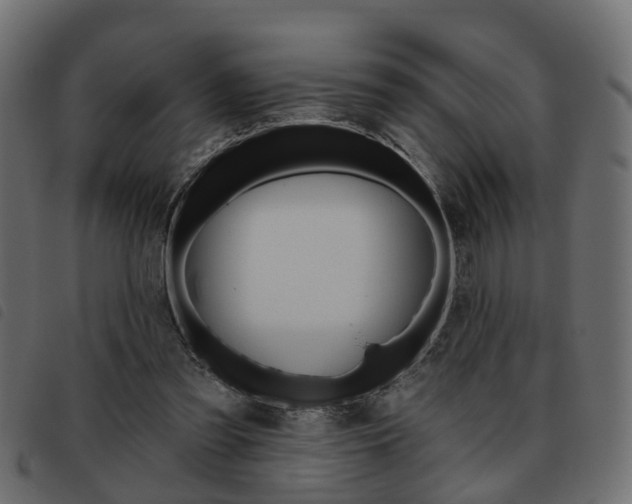 X0000093620301200710151045