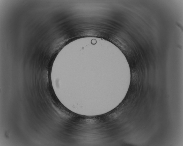 X0000093620302200710151045
