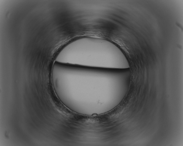 X0000093620303200710151045