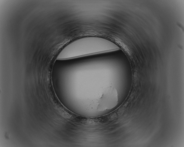 X0000093620305200710151045