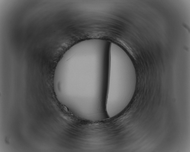 X0000093620307200710151045