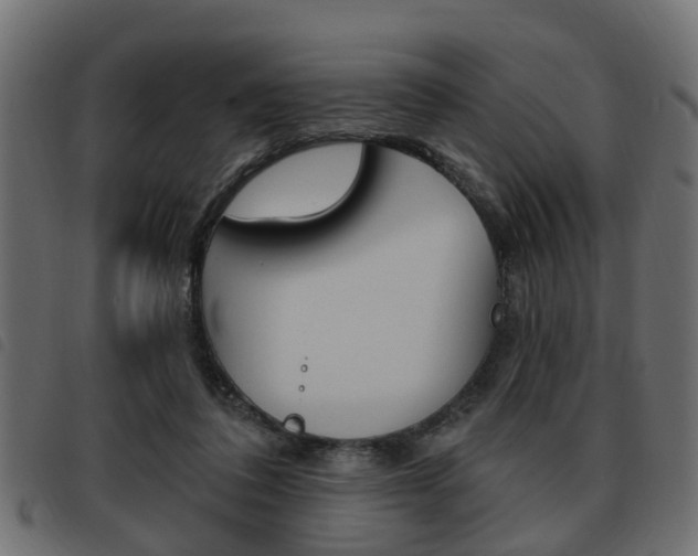 X0000093620308200710151045
