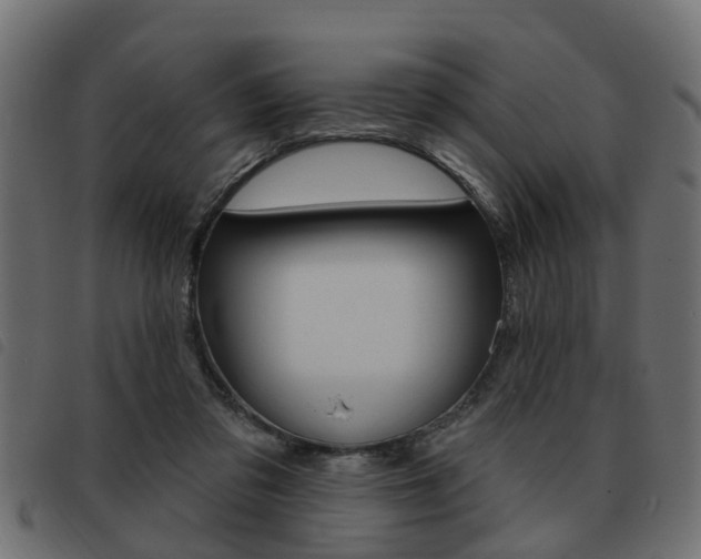 X0000093620309200710151045