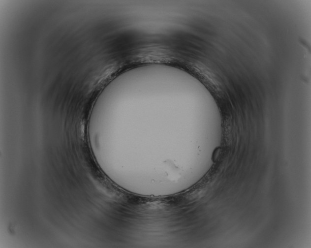 X0000093620310200710151045