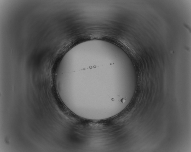 X0000093620311200710151045
