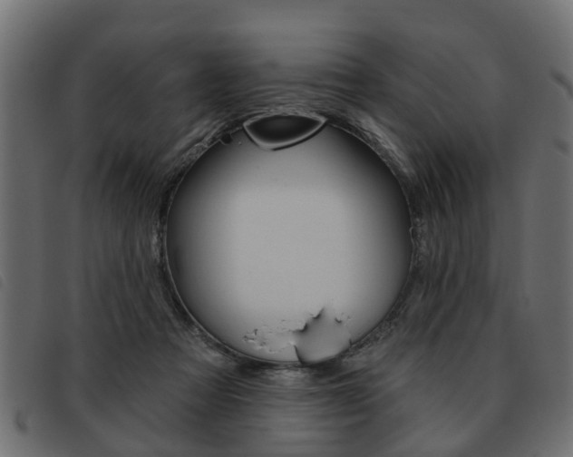 X0000093620313200710151045