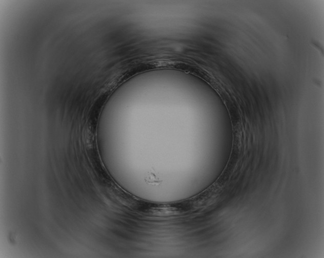 X0000093620316200710151045
