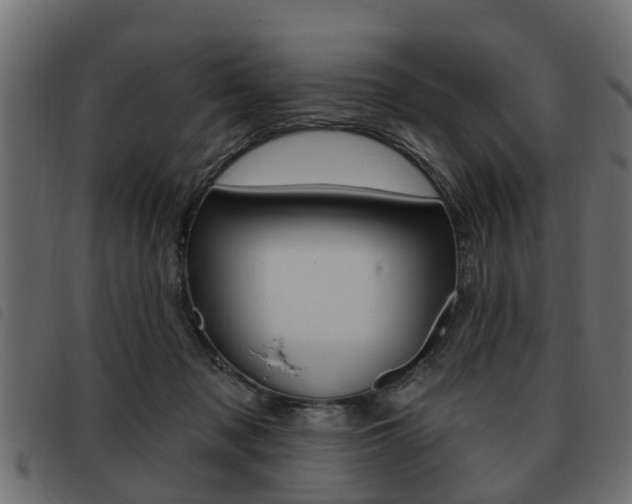 X0000093620317200710151045