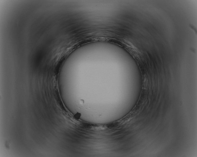 X0000093620318200710151045