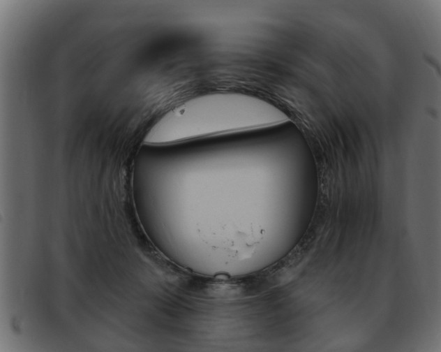 X0000093620319200710151045