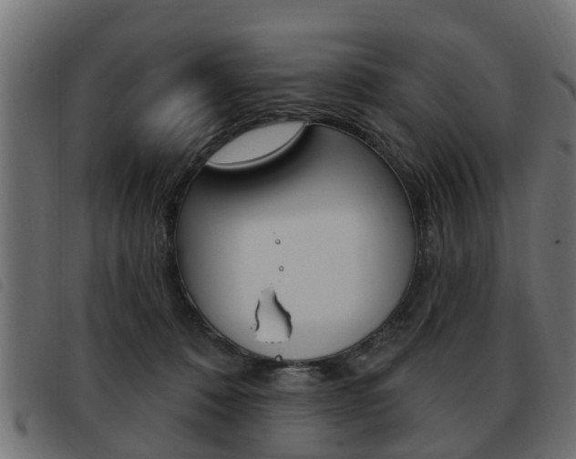 X0000093620320200710151045