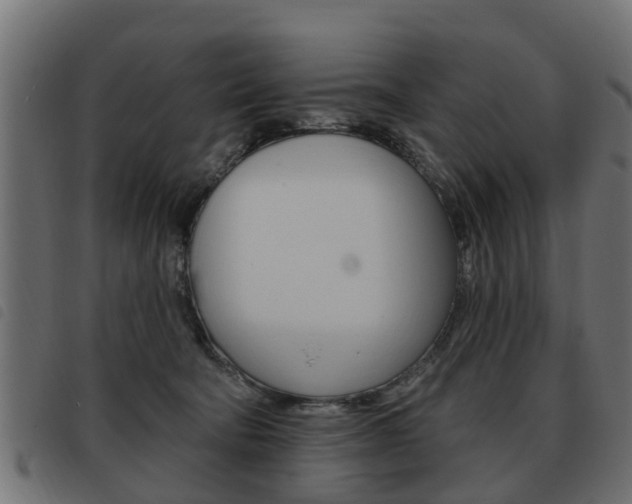 X0000093620322200710151045