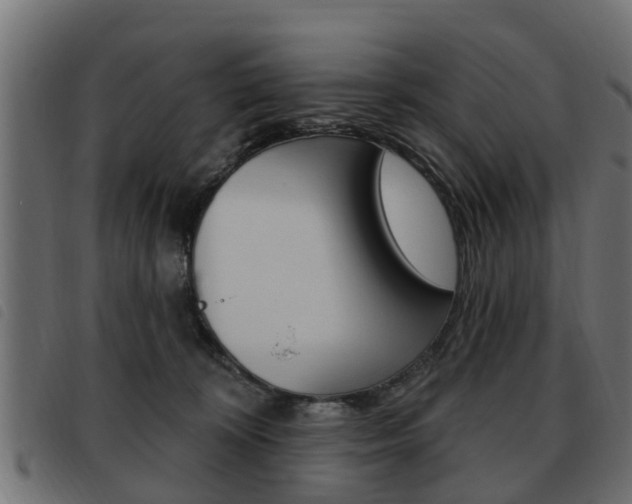 X0000093620324200710151045