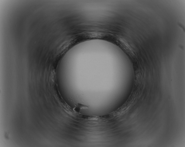 X0000093620325200710151045