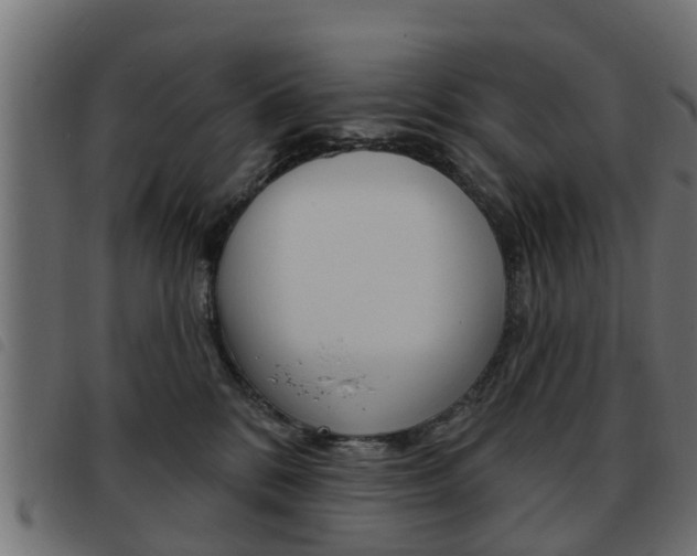 X0000093620328200710151045