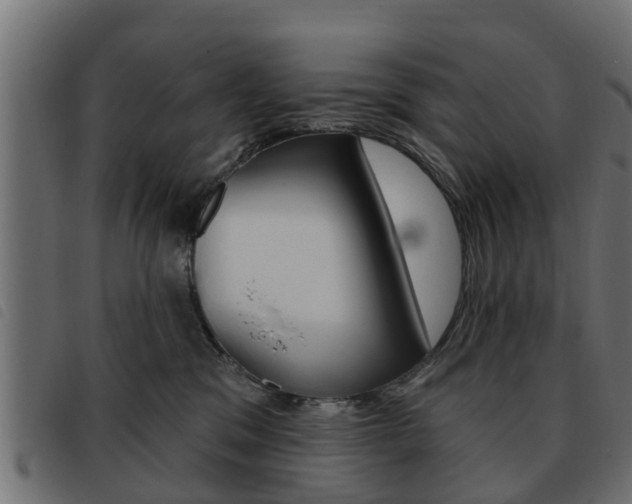 X0000093620329200710151045