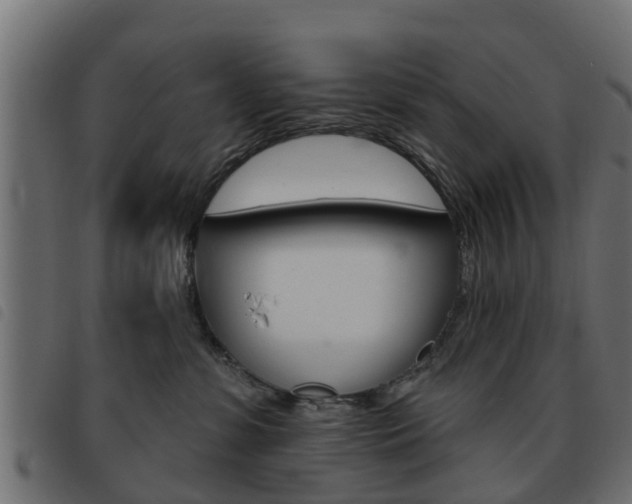 X0000093620331200710151045
