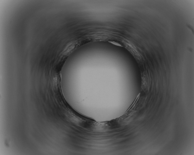 X0000093620333200710151045
